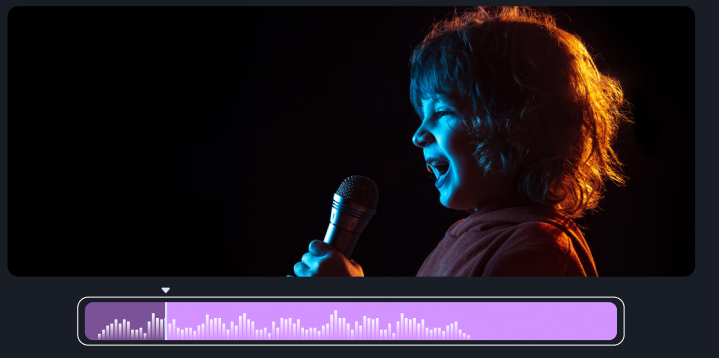 Get Your Quality Video Voice Over 11